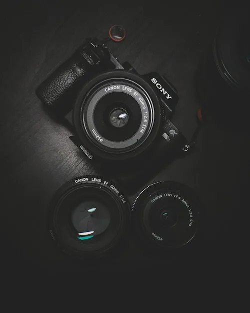Photography Blog - 雷火竞技